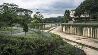 Kanal di Old Holland Road di Rail Corridor di Singapura. Pelestarian koridor rel terjadi setelah perkembangan Singapura menjadi kota metropolitan yang kaya berarti pengorbanan berhektar-hektar hutan dan lahan basah.  