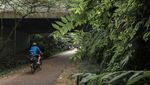 Menyusuri Jalur Kereta Api Tua di Singapura yang Kini Jadi Cagar Alam