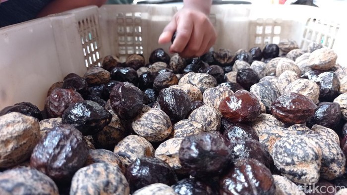 Pedagang biji kemiri atau muncang di Tasikmalaya
