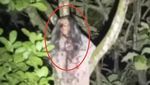 10 Foto Penampakan Kuntilanak di Medsos yang Jelas Banget, Percaya?