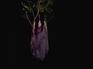 Apa Hubungan Kuntilanak dengan Kota Pontianak? Begini Hasil Penelitiannya