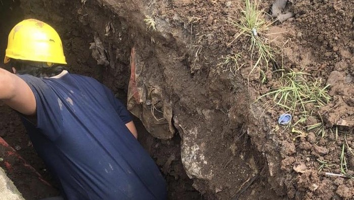 Petugas saat mengevakuasi ular piton di Sukabumi