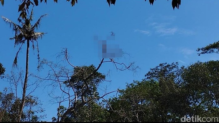 Potongan tubuh yang ditemukan menyangkut di pohon belakang rumah yang meledak di Blitar