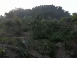 Penampakan Gunung Pindah di Kupang Serta Analisis Badan Geologi