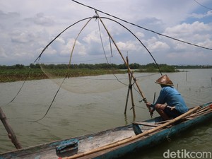 Kisah Petani Pati Terpaksa Jadi Nelayan gegara Sawahnya 3 Bulan Kebanjiran