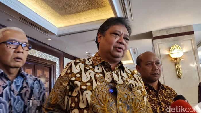 Airlangga Hartarto (Wilda Hayatun Nufus/detikcom).