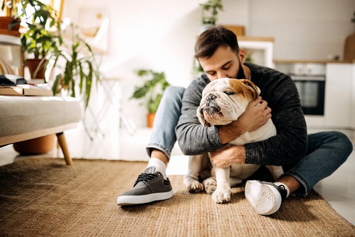 Anjing Bulldog Anjing Bulldog