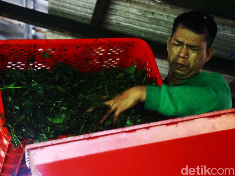 Intip Proses Daur Ulang Sampah jadi Kompos hingga Kerajinan Tangan