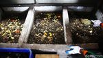 Intip Proses Daur Ulang Sampah jadi Kompos hingga Kerajinan Tangan