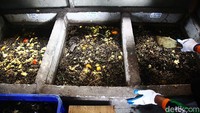 TPS 3R Ketapang Satpel Lingkungan Hidup Kecamatan Gambir itu dapat mereduksi atau mengurai sampah organik menjadi kompos sebanyak 200-300 kilogram per hari.