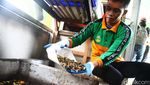 Intip Proses Daur Ulang Sampah jadi Kompos hingga Kerajinan Tangan