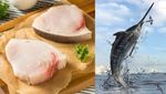 Gokil! 10 Ikan yang Enak Ini Harganya Paling Mahal di Dunia