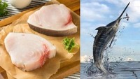 Swordfish atau ikan todak memiliki mulut yang runcing dan kerap dikenal memiliki bentuk seperti pedang. Ikan ini juga termasuk yang memiliki harga paling mahal di dunia. Harga per 500 gram ikan todak dibanderol sekitar Rp 900 ribuan. Foto: site news
