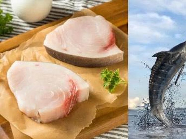 Gokil! 10 Ikan yang Enak Ini Harganya Paling Mahal di Dunia