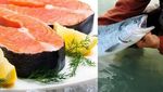 Gokil! 10 Ikan yang Enak Ini Harganya Paling Mahal di Dunia