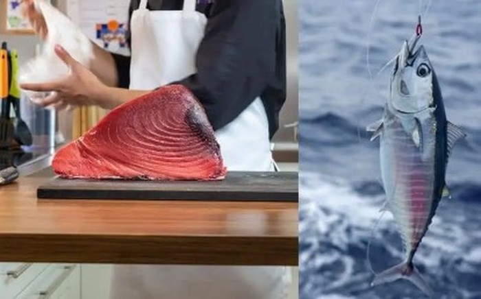 Ikan Ikan termahal di dunia