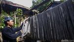 Melihat Pewarnaan Alami Benang Tenun Masyarakat Baduy