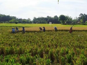 Kalender Jawa Rabu Wage 29 Maret 2023: Sandang Pangan Melimpah