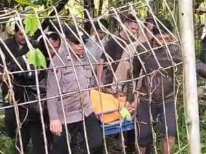 Geger! Karyawan PDAM di Maros Ditemukan Tewas di Kebun Warga