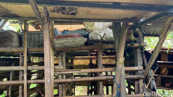 Pencurian kambing di Depok hanya tinggalkan jeroan saja.