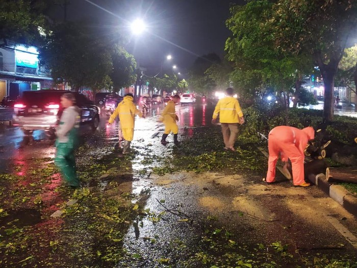 pohon tumbang di surabaya
