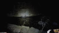 Di belakang rumah Suzanna ternyata terdapat sebuah kolam ikan yang juga tidak terawat. Foto: YouTube Papi Story - Ervanda Putra