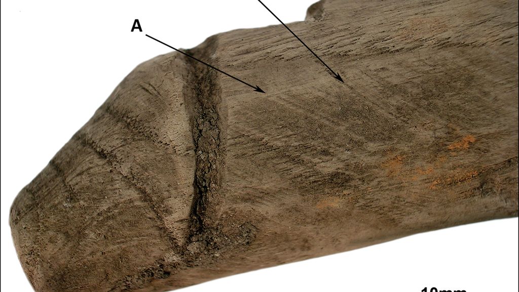 Penampakan Benda Diduga Sex Toys Pertama Era Romawi Temuan Arkeolog