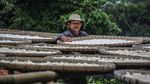 Warga Kampung Adat Cirendeu Pilih Singkong Jadi Makanan Pokok