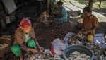 Warga Kampung Adat Cirendeu Pilih Singkong Jadi Makanan Pokok