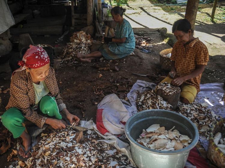 Warga Kampung Adat Cirendeu Pilih Singkong Jadi Makanan Pokok