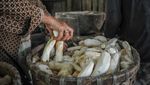 Warga Kampung Adat Cirendeu Pilih Singkong Jadi Makanan Pokok