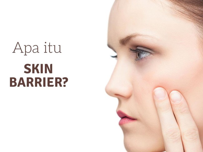 Skin Barrier