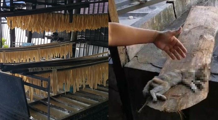 5 Temuan Pabrik Makanan Jorok, Ada Bangkai hingga Kotoran Tikus!