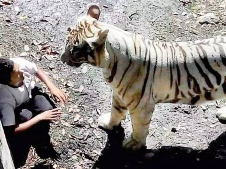 Deretan foto menakutkan