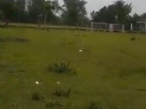 2 Insiden Helikopter Mendarat Darurat yang Ditumpangi Kapolda