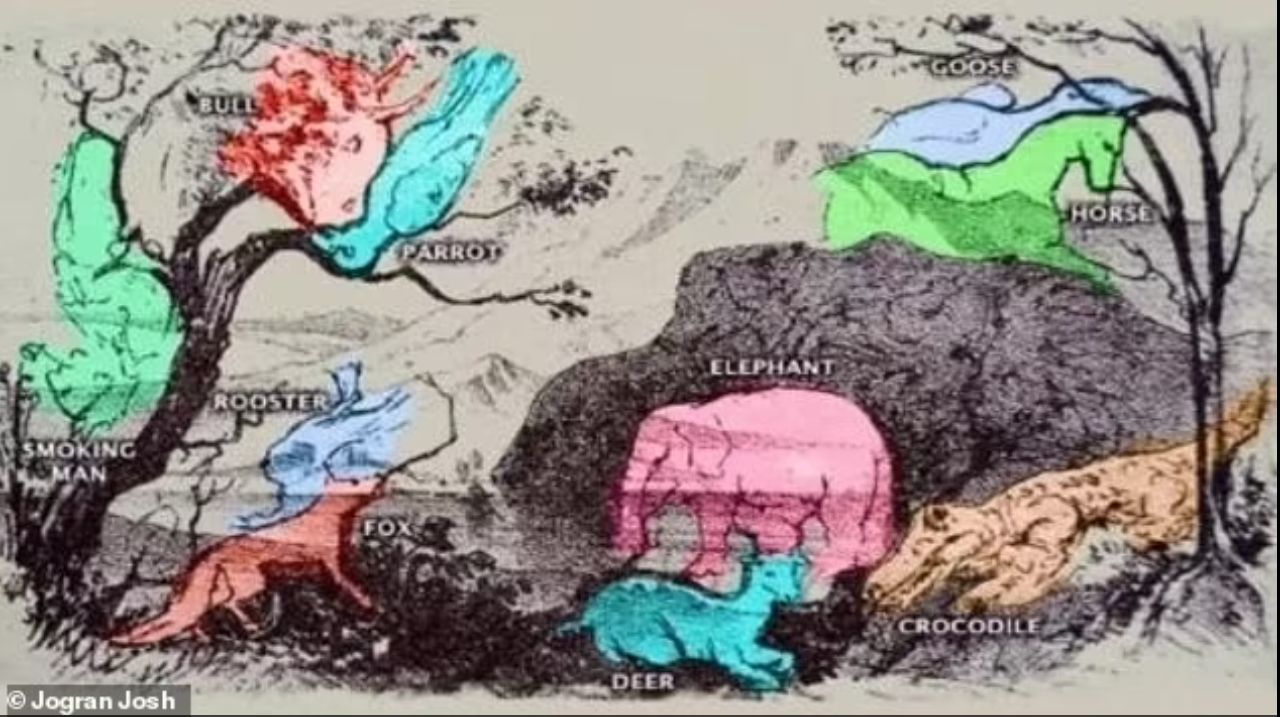Apakah kamu bisa menemukan 10 gambar tersembunyi yang ada di kartu dari tahun 1800-an ini? Kalau bisa, mata kamu masih awas banget!