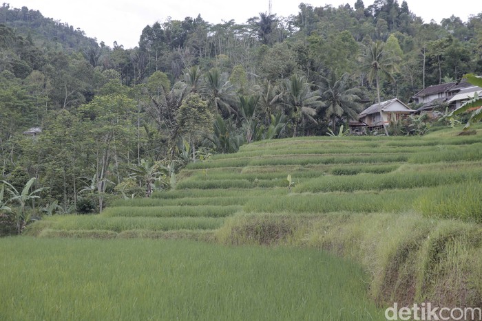 Kasepuhan Sinar Resmi