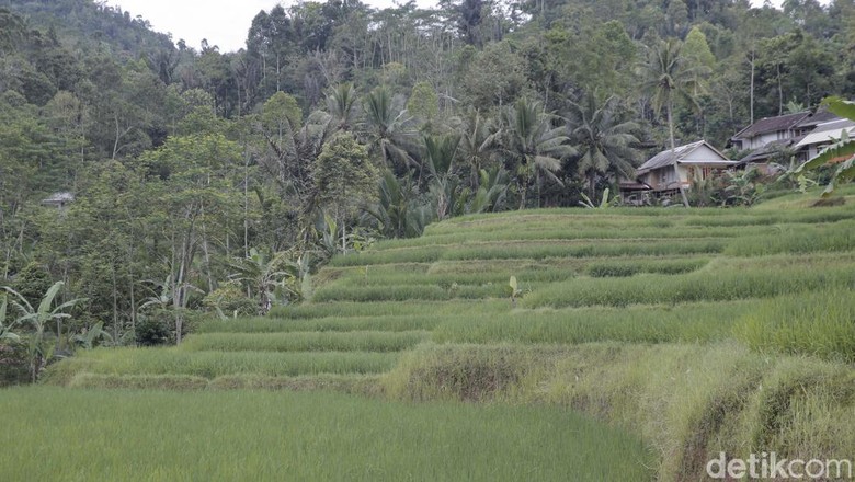Kasepuhan Sinar Resmi Kasepuhan Sinar Resmi
