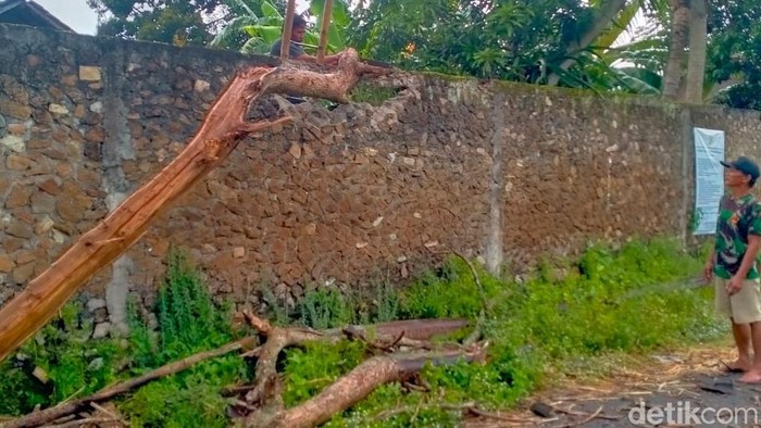 Lokasi pohon tersambar petir di Desa Mlese, Kecamatan Gantiwarno, Klaten, Rabu (22/2/2023).