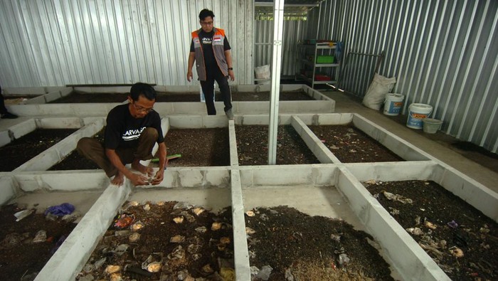 Melihat Budi Daya Maggot di Tegal Pekerja memilih sampah untuk pakan maggot di Rumah budi daya maggot Desa Kebandingan, Kabupaten Tegal, Jawa Tengah, Rabu (22/2/2023). Budi daya maggot untuk pembuatan bahan baku pakan ternak yang berasal dari pengolahan sampah organik tersebut dalam satu hari mampu menghasilkan sekitar 50 kilogram maggot dari tiga hingga lima kuintal sampah organik dan maggot basah dijual Rp7 ribu per kilogram dan maggot kering Rp80 ribu per kilogram. ANTARA FOTO/Oky Lukmansyah/hp.