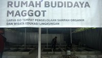 Budi daya maggot tersebut digunakan untuk pembuatan bahan baku pakan ternak yang berasal dari pengolahan sampah organik.