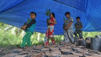 Sekolah alam yang dikembangkan secara swadaya sejak 2021 di Desa Delima yang berjarak sekitar 60 kilometer dari pusat pemerintahan Kabupaten Tanjungjabung Barat dan dikelilingi wilayah konsesi perusahaan perkebunan itu mengedepankan kemerdekaan belajar berbasis kearifan lokal dan konservasi.