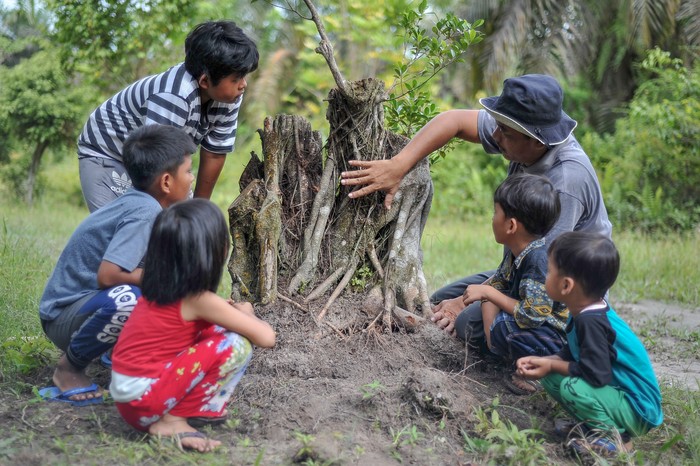 Melihat Pembelajaran Sekolah Alam Berbasis Kearifan Lokal di Tebing Tinggi Sebagian peserta Sekolah Alam Delima (SAD) membawa bibit pinang saat sesi pembelajaran luar ruang di Desa Delima, Tebing Tinggi, Tanjungjabung Barat, Jambi, Minggu (19/2/2023). Sekolah alam yang dikembangkan secara swadaya sejak 2021 di Desa Delima yang berjarak sekitar 60 kilometer dari pusat pemerintahan Kabupaten Tanjungjabung Barat dan dikelilingi wilayah konsesi perusahaan perkebunan itu mengedepankan kemerdekaan belajar berbasis kearifan lokal dan konservasi. ANTARA FOTO/Wahdi Septiawan/aww.