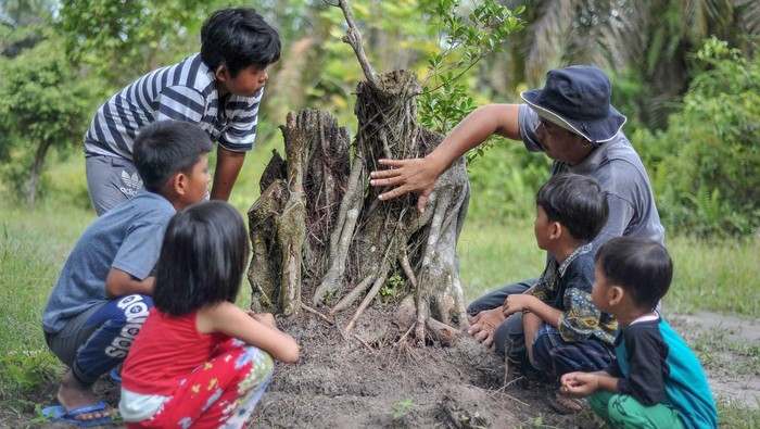 Melihat Pembelajaran Sekolah Alam Berbasis Kearifan Lokal di Tebing Tinggi Sebagian peserta Sekolah Alam Delima (SAD) membawa bibit pinang saat sesi pembelajaran luar ruang di Desa Delima, Tebing Tinggi, Tanjungjabung Barat, Jambi, Minggu (19/2/2023). Sekolah alam yang dikembangkan secara swadaya sejak 2021 di Desa Delima yang berjarak sekitar 60 kilometer dari pusat pemerintahan Kabupaten Tanjungjabung Barat dan dikelilingi wilayah konsesi perusahaan perkebunan itu mengedepankan kemerdekaan belajar berbasis kearifan lokal dan konservasi. ANTARA FOTO/Wahdi Septiawan/aww.