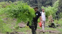 Personil gabungan Badan Narkotika Nasional (BNN) provinsi Aceh bersama anggota TNI dan Polri membawa tanaman ganja untuk dimusnahkan di kawasan pegunungan Indrapuri, Kabupaten Aceh Besar, Aceh, Rabu (22/2/2023).