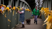 Seorang wanita menempelkan bunga ke jembatan penyeberangan di atas Sungai Wyre sebagai penghormatan kepada Nicola Bulley di St Michaels on Wyre di Preston, Inggris, Selasa (21/2/2023).
