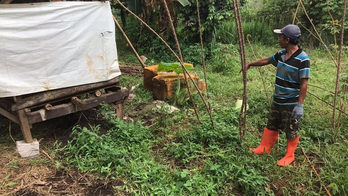 6 Kambing Warga Depok Dicuri dan Disisakan Jeroannya Saja (Devi/detikcom)