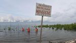 Aksi Basarnas Palu Tanam Mangrove di Pantai Dupa