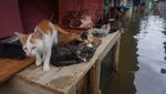 Banjir Rendam Permukiman Warga di Pekalongan