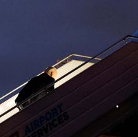 Biden stumbles while boarding Air Force One